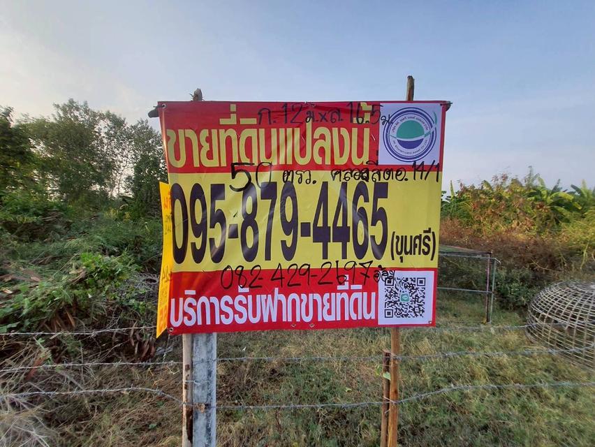 ขายด่วนที่ดิน 50 ตรว ติดถนนสาธารณะ ถมแล้ว ซ.คลองสี่ ตอ.14/1 คลองหลวง ปทุมธานี 3