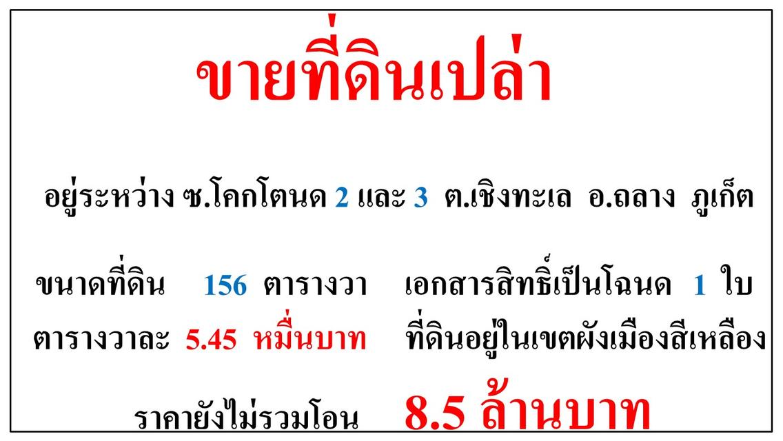 ขายที่ดินเปล่า ขนาด 156 ตารางวา  อยู่ระหว่าง ซ.โคกโตนด 2-3  ต.เชิงทะเล  อ.ถลาง  ภูเก็ต