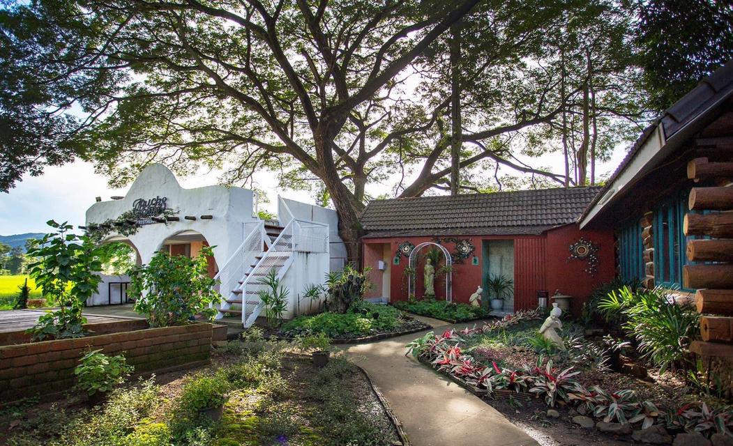 Sale Boutique Hotel and Restaurant with run business immediately in Sankhamhaeng Chiang Mai 11