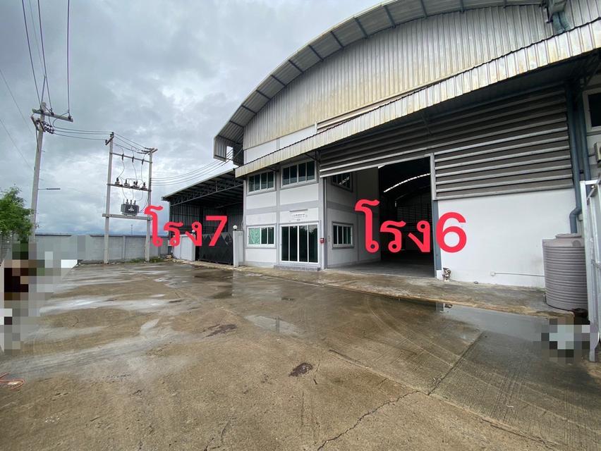 ขายหรือให้เช่า โกดัง โรงงาน โครงการทรัพย์รุ่งเรือง คลองมะเดื่อ ขนาด 480 ตร.ม. ถึง 1,500 ตร.ม. ทำเลดี กระทุ่มแบน สมุทรสาคร 8