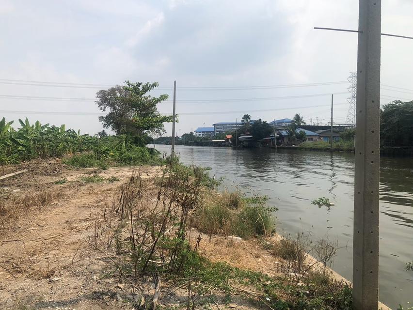 ขายที่ดินสวยรมน้ำคลองบางใหญ่ จังหวัดนนทบุรี  จำนวน 3 ไร่ 17