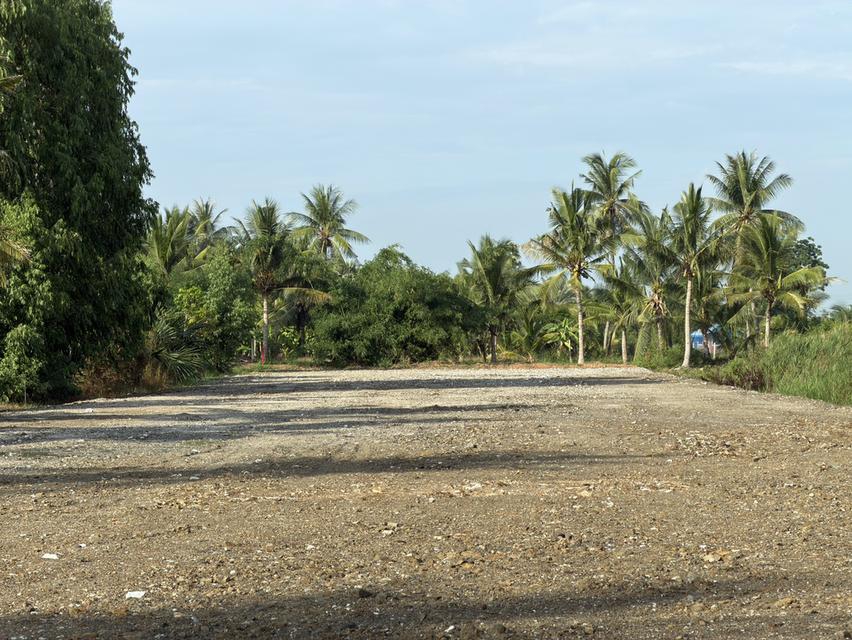 ที่ดินถมแล้ว พร้อมสร้างบ้านในฝัน 4