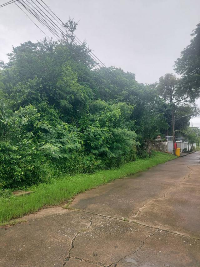 ขายที่ดิน 200 ตร.ว. หมู่บ้านเอื้อสุข พัฒนาการ 58 ซอย 6 ใกล้ถนนศรีนครินทร์ 3