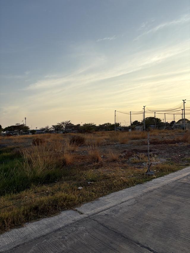 ขายที่ดิน 2 ไร่ จังหวัดสมุทรปราการ 3