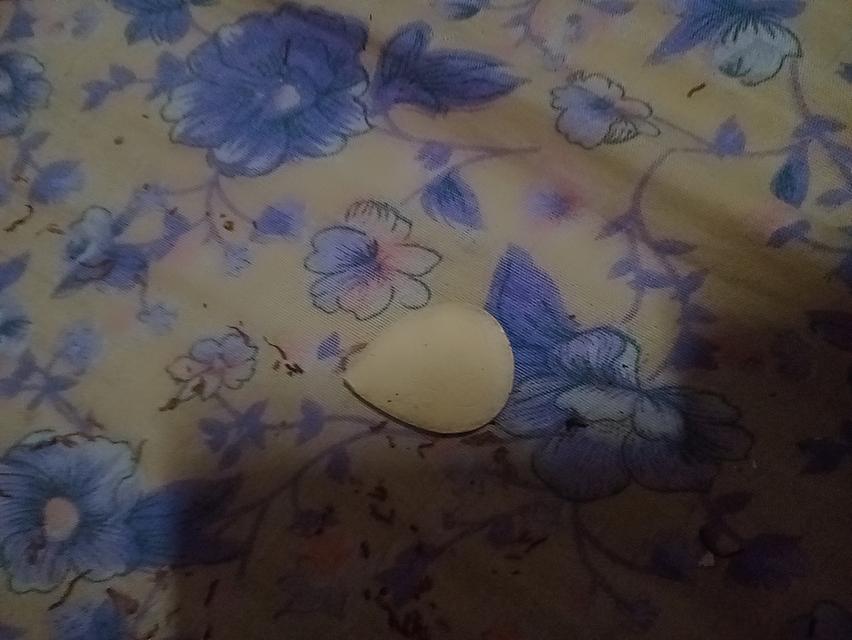 สมเด็จนั่งปกโพธิ์สภาพไม่ผ่านารใช้งาน 6