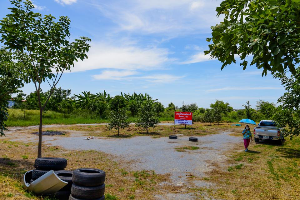 ขายที่ดิน 3 ไร่ อ.อู่ทอง จ.สุพรรณบุรี 2