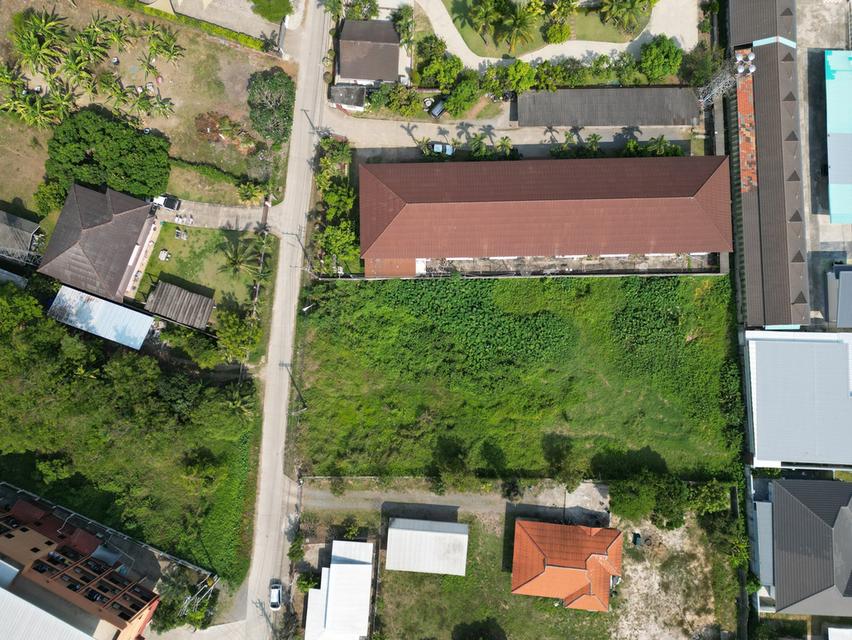 ขายที่ดินทำเลดี บริเวณซอยหลิ่งมื่น หลังมหาวิทยาลัยแม่โจ้ เชียงใหม่ 6