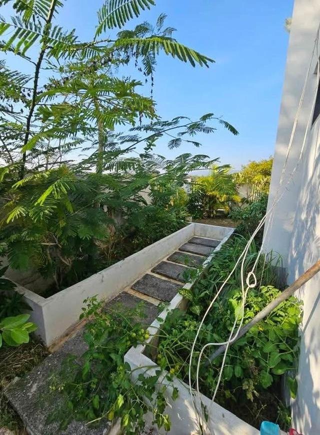 บ้านพร้อมเฟอร์นิเจอร์ วิวสวยธรรมชาติ อ.สันทรายเชียงใหม่ 11
