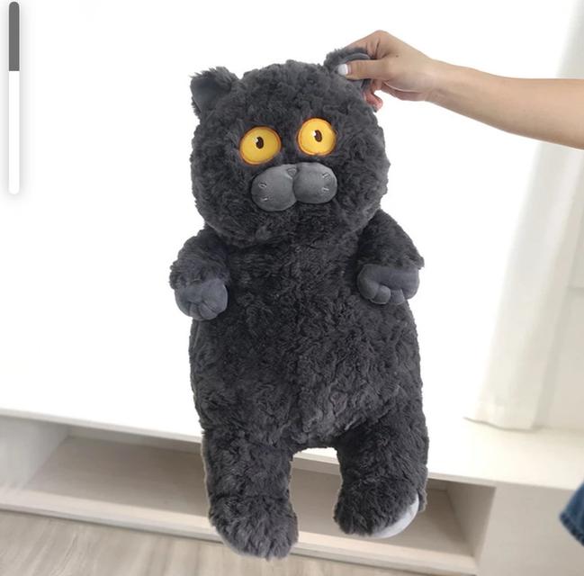 พร้อมส่งแมวดำ แมวอ้วน ของเล่นตุ๊กตาแมวดำ ตุ๊กตา แมวดำ หมอนแมวน่ารัก  2