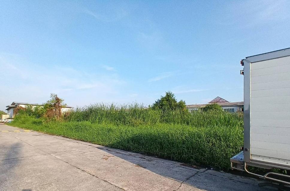 ขายที่ดิน 2 ไร่ ลำลูกกาคลอง 4 ถนนพระองค์เจ้าสายคลอง 4 ตำบลลาดสวาย อำเภอลำลูกกา จังหวัดปทุมธานี 1