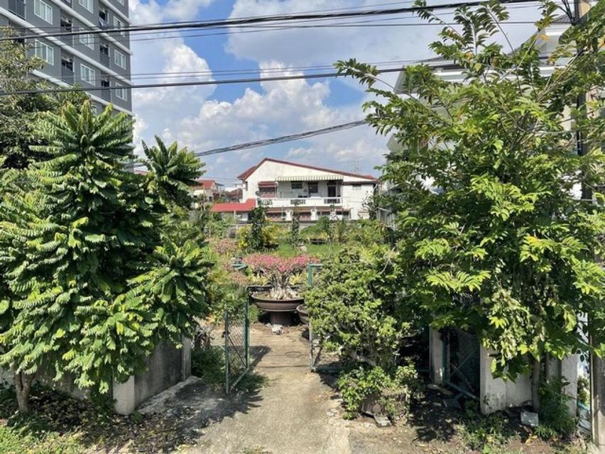 ขายที่ดิน 209 ตร.ว. สุขุมวิท77 อ่อนนุช 14 พื้นที่สีส้ม ซอยกว้าง เหมาะสร้างบ้าน สำนักงาน หรือธุรกิจ คาเฟ่ ร้านอาหาร สปา ใ 2