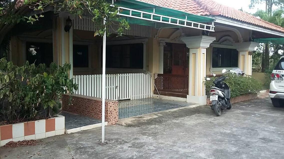 ที่ดินพร้อมบ้าน จังหวัด ลำพูน อำเภอเมือง 13