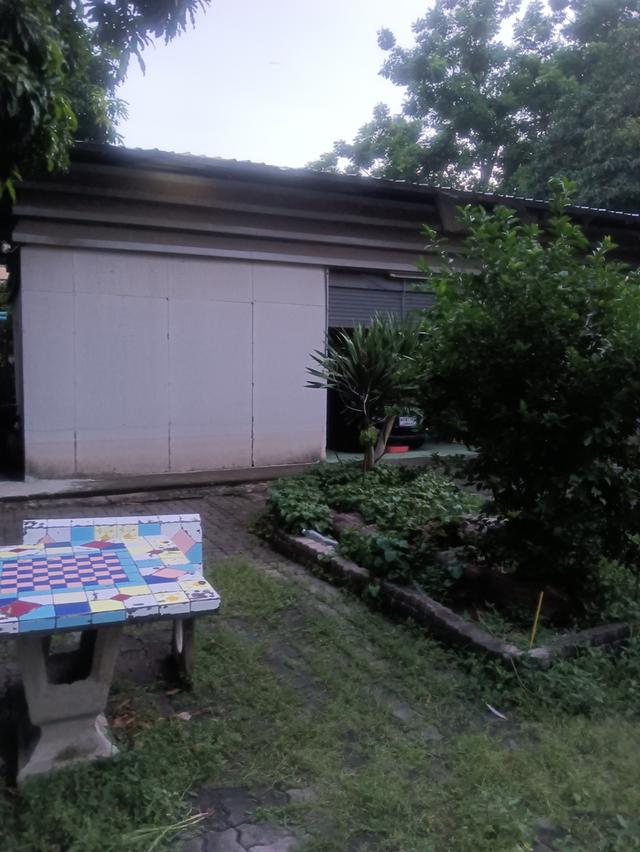 ที่ดินเปล่า 1
