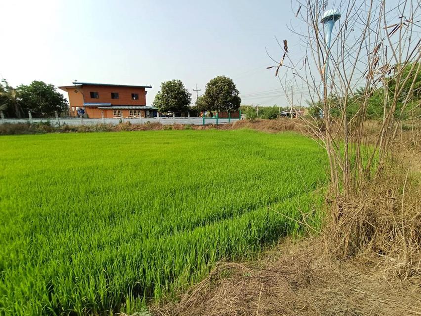 ขายที่ดินใกล้วัดปากกราน อยุธยา เนื้อที่ 5 ไร่ 3 งาน 84 ตร.ว. เหมาะทำการเกษตร หรือสร้างบ้านพัก 3