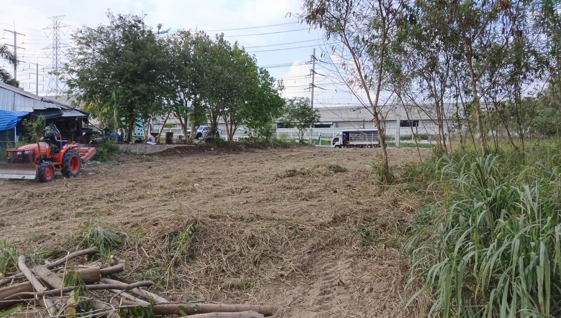 ขายที่ดิน 1 ไร่ติดถนนติดโรงเรียนสอนขับรถ ย่านนิคม อ.ปลวกแดง 2