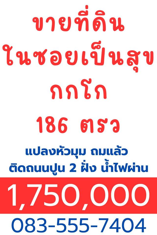 ขายที่ดินลพบุรี กกโก 186 ตรว ซอยเป็นสุข