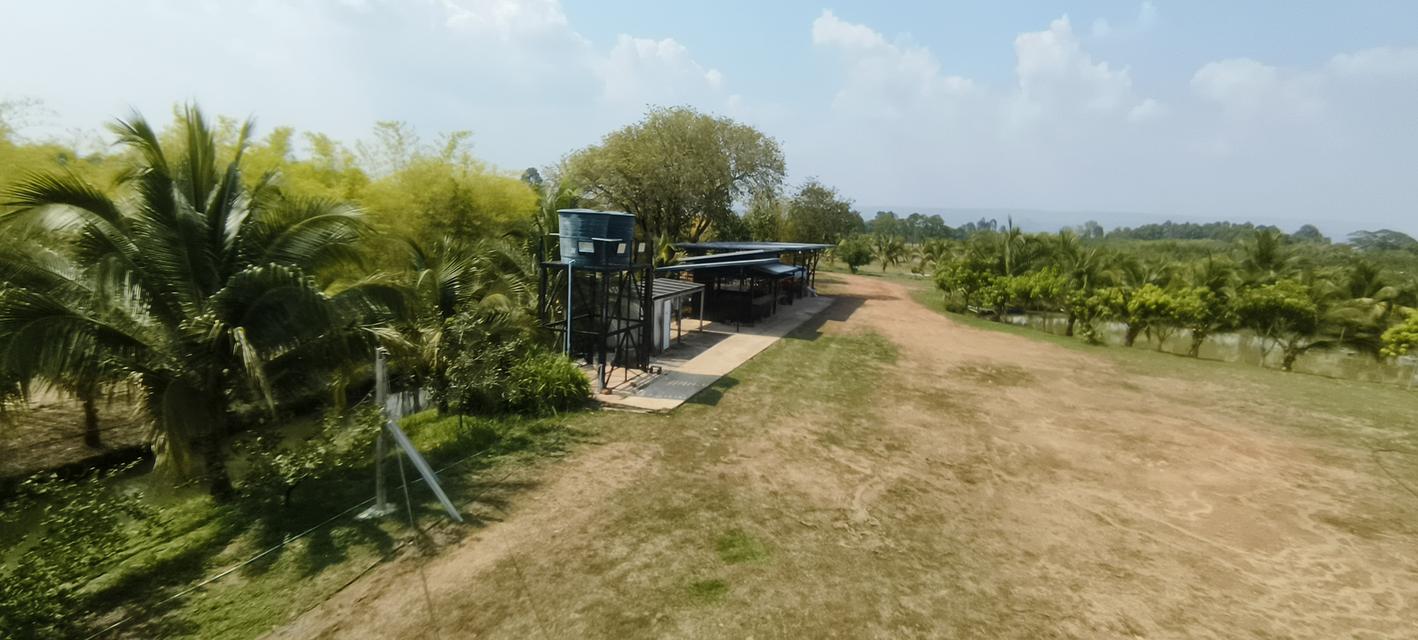 บ้านสวนพร้อมที่ดินสวย 8