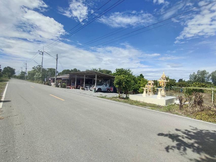 บ้านสวนเกษตร5ไร่ต.หนองสาหร่ายอ.ดอนเจดีย์จ.สุพรรณบุรี 7