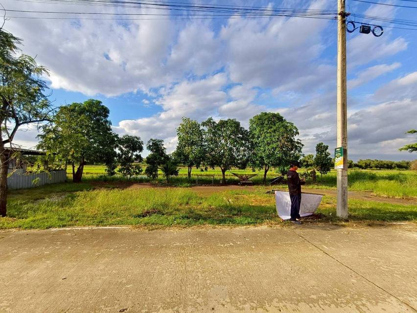 ขายด่วนที่ดิน 100 ตาว ติดถนนคอนกรีตสาธารณะ ถมแล้ว ซ.คลองสี่ตะวันตก 34/1  อ.คลองหลวง จ.ปทุมธานี 1