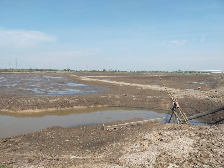 ต้องการขายที่ดิน ใกล้ทางด่วนบางปะอิน-โคราช  บางปะอิน  33 ไร่ 2 งาน 2 ตรว 10