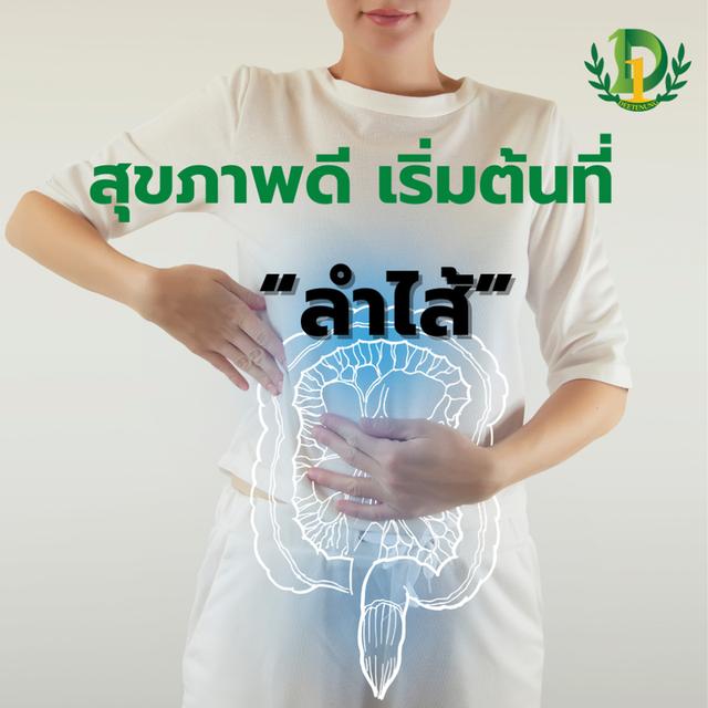โพรไบโอติกส์ 7-Active Syntech สมดุลลำไส้ ขับถ่ายดี ไฟเบอร์สูง การย่อยดี รูปที่ 7