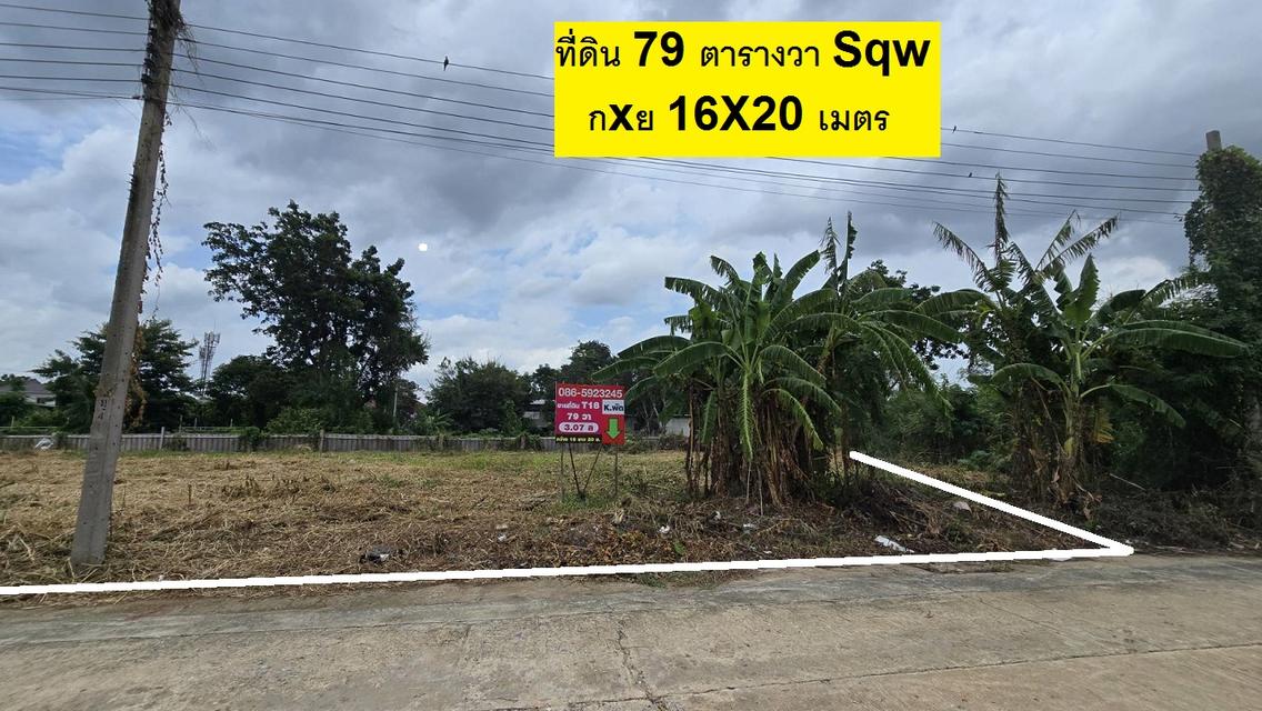 ขายที่ดินจัดสรร 156.1 ตารางวา SQWแปลงกลางซอยสวยหน้ากว้าง 31.5 เมตรลึก 20 เมตร สวยสร้างบ้านใหญ่  หมู่บ้านลานทอง ปากเกร็ด (จุด ติวานนท์-ปากเกร็ด 25) 2