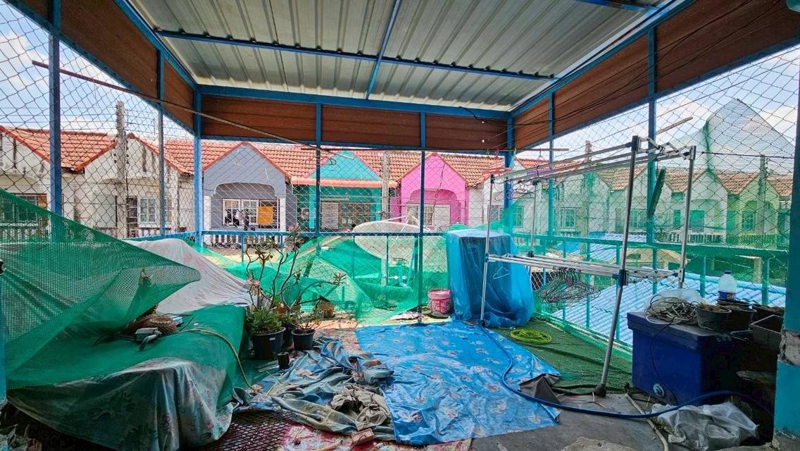 ทาวน์เฮ้าส์ 2 ชั้น หมู่บ้านบัวแก้ว สามโคก 11