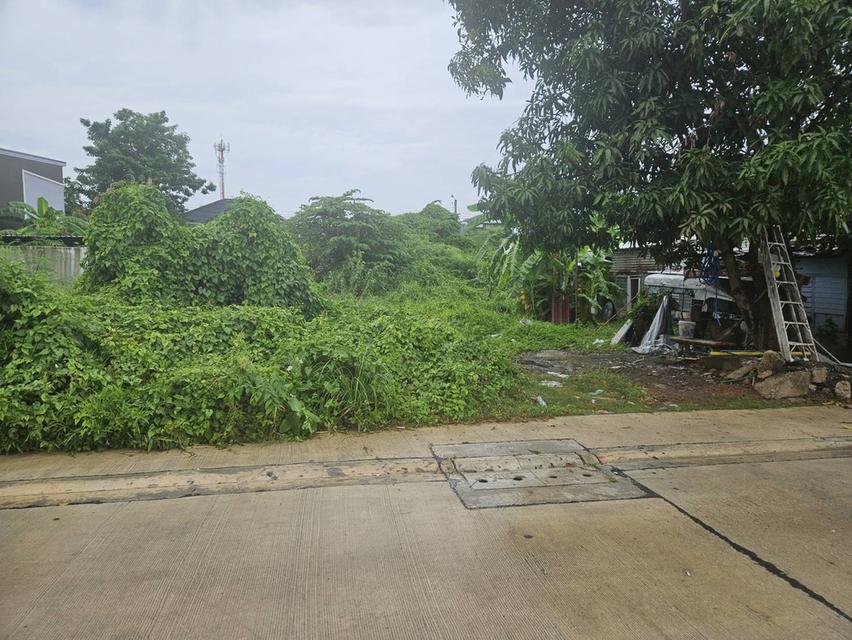 ขายที่ดินเปล่า ซอย รามคำแหง 118 แยก 48-7 เนื้อที่ 54 ตร.วา ใกล้มอเตอร์เวย์