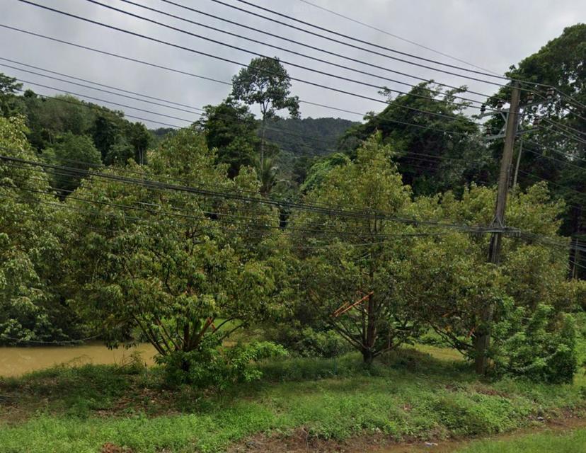 ขายที่ดิน แปลงสวย อ.เกาะช้าง จ.ตราด ขนาด 1-0-42 ไร่ ใกล้ท่าเทียบเรือเกาะช้าง 1