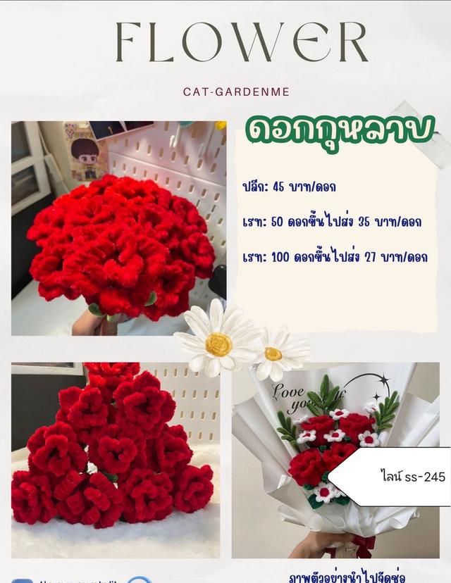 ดอกไม้กำมะหยี่ ปลีก-ส่ง