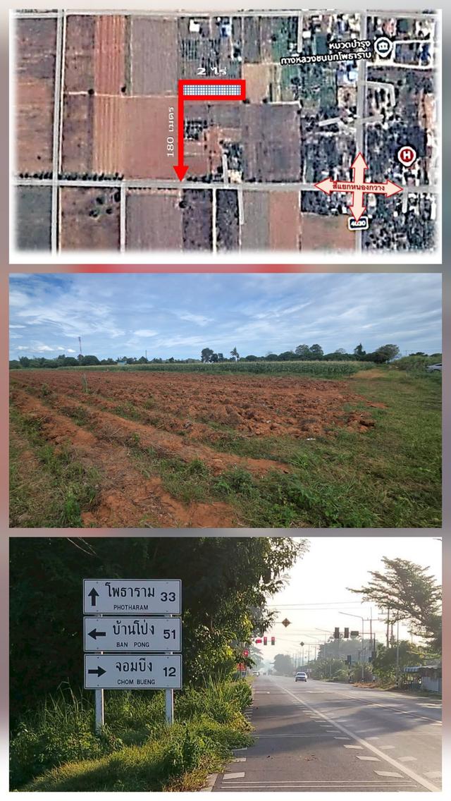 ที่ดินพร้อมใช้ 2 ไร่ อยู่เองก็ได้ ทำที่พักก็ดี ต.หนองกวาง อ.โพธาราม.จ.ราชบุรี 11