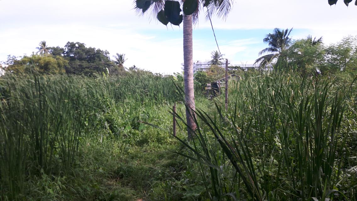 ขายที่ดินจรัญสนิทวงศ์ 23  จำนวน  8 ไร่ 2 งาน 15 ตารางวา 6