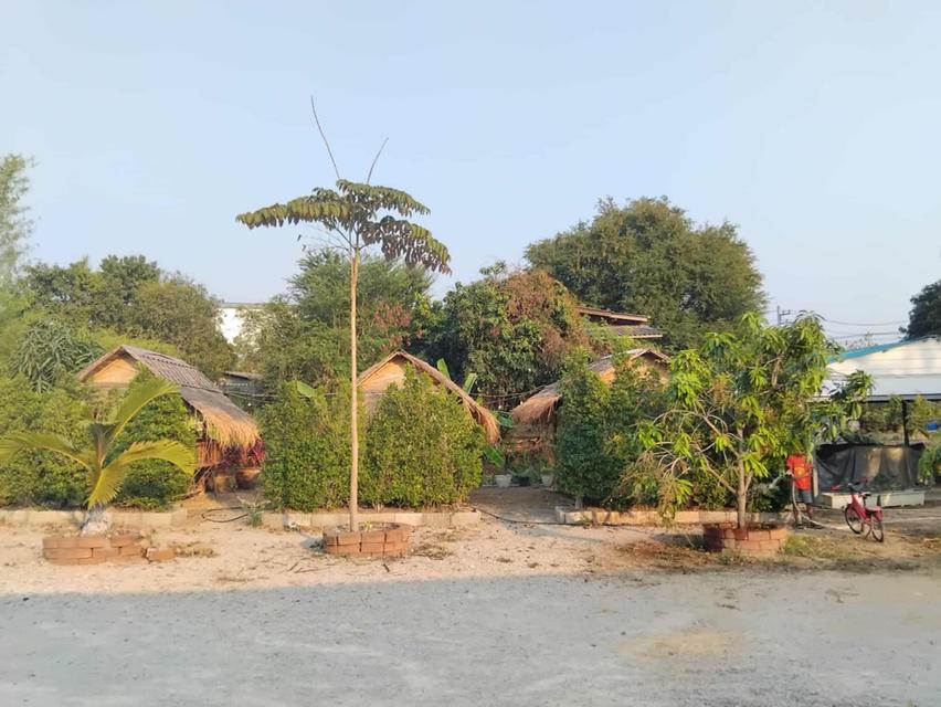 ขายที่ดินพร้อมร้านอาหาร สามารถดำเนินกิจการต่อได้เลย ใกล้ถนนเลี่ยงเมืองจ.ราชบุรี 11