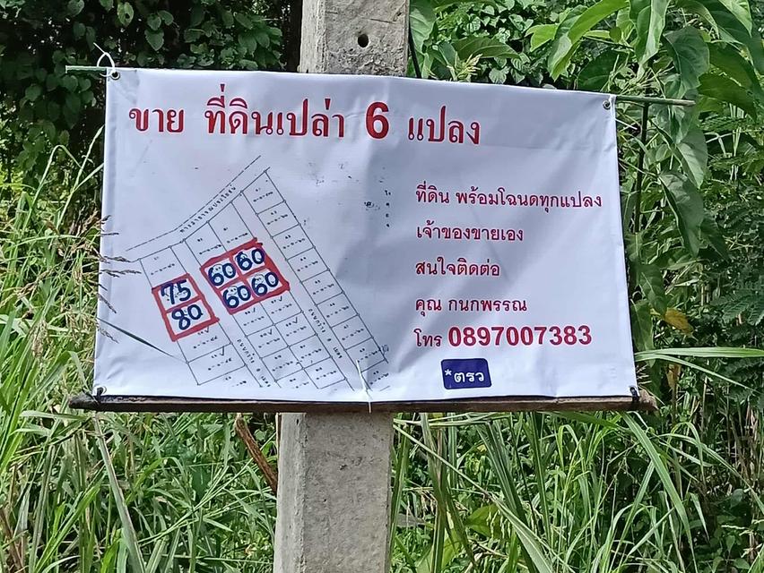 ที่ดินจัดสรร มีโฉนดทุกแปลง ราคาตารางวา ละ 10,000 บาทถนน กว้าง น้ำ ไฟ พร้อม เจ้าของขายเอง  4