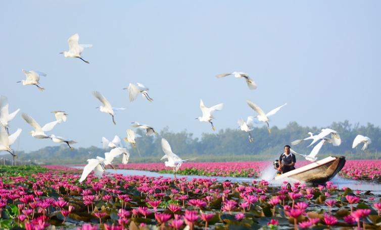 ทริปพัทลุง พังงา ภูเก็ต 12-15 เม.ย.69 รูปที่ 6