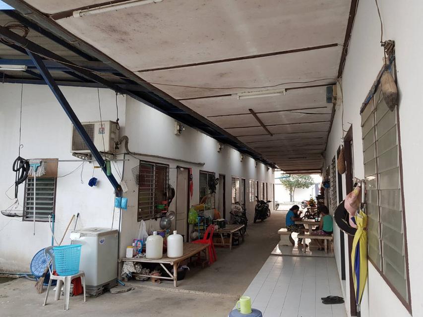 (เจ้าของ) ขาย และให้เช่า ที่ดิน 8 ไร่ พร้อมโรงงาน โกดัง และบ้านพัก บางบัวทอง นนทบุรี ใกล้รถไฟฟ้าสีม่วง สถานีคลองบางไผ่ 6