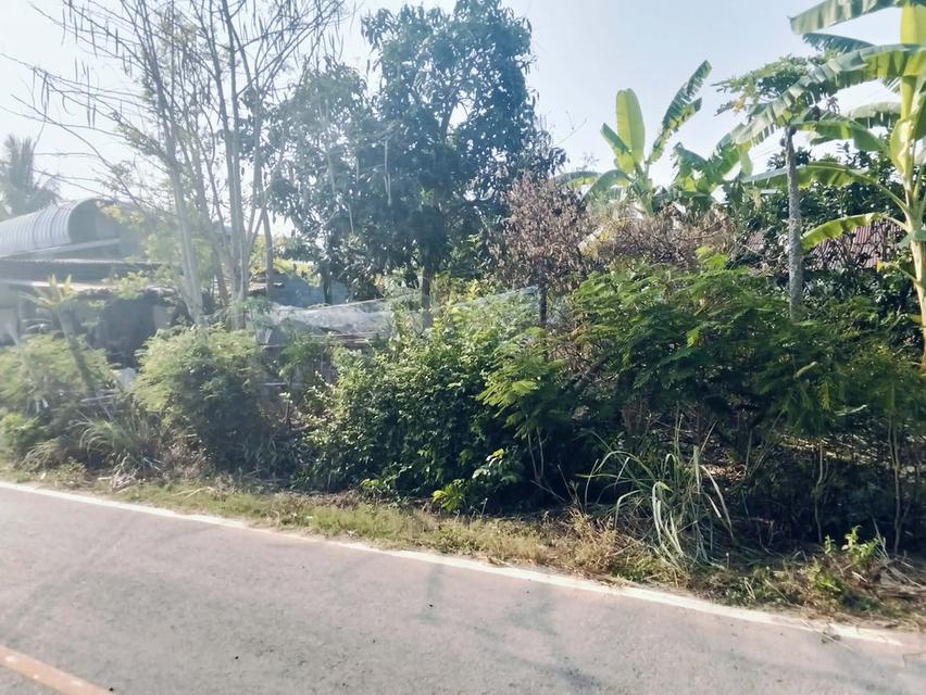 ที่ดินพร้อมสิ่งปลูกสร้าง 11