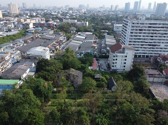 ที่ดิน ท่าน้ำนนท์ 120 ตร.วา พิบูลสงคราม 15 หรือ ซอยจามจุรี เหมาะสร้างบ้าน ใกล้ตลาด ประชาราษฎร์ ต่ำกว่าราคาตลาด 4