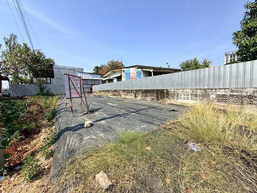 ขายด่วน !! ที่ดิน 46.8 ตารางวา) ติดถนนคอนกรีตสาธารณะ ซอย นวมินทร์74 แยก 1-9 ถนน รัชดา-รามอินทรา รูปที่ 2