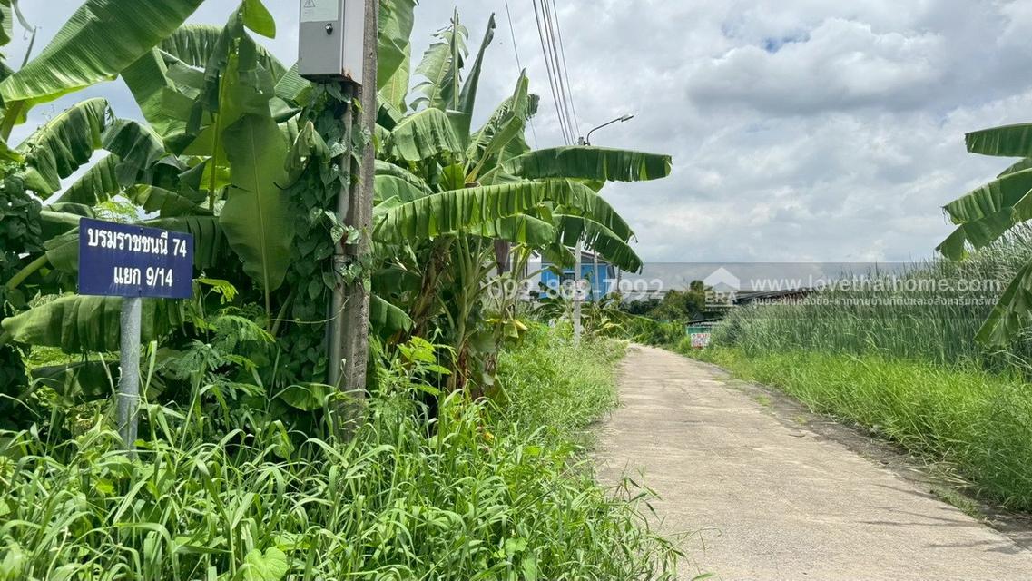 ขายที่ดิน ซอยบรมราชชนนี74 แยก9/14 พื้นที่ 50 ตรว. ราคาถูก ใกล้มหาวิทยาลัยมหิดล ศาลายา 6