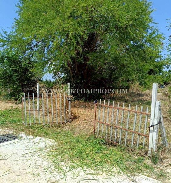 ที่ดินพานทองใกล้ดูโฮม ถ.ศุขประยูร ต.หนองตำลึง อ.พานทอง จ.ชลบุรี 5
