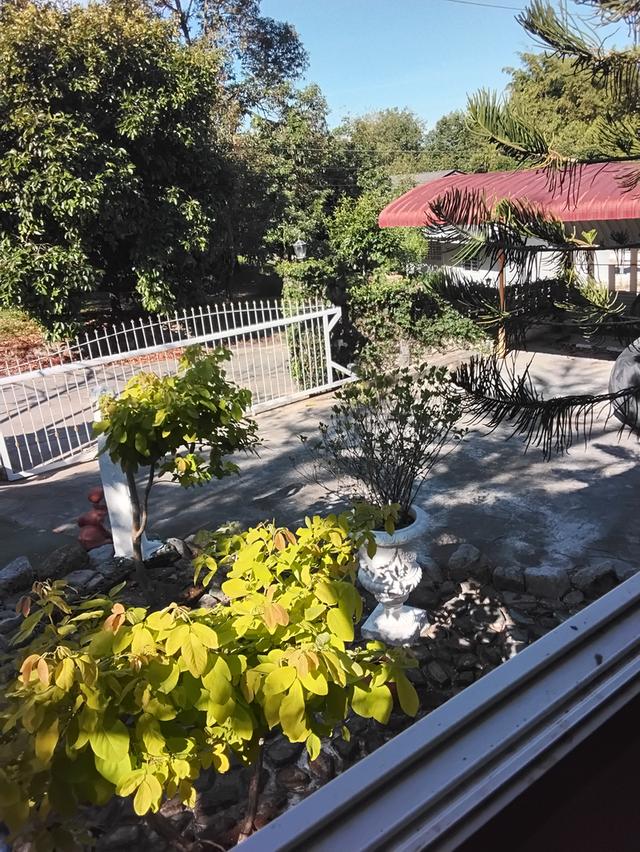 ขายบ้านพร้อมรีสอร์ทบนเนินสวย เนื้อที่2ไร่  ต.นาตาขวัญ อ.เมืองจ.ระยอง 4