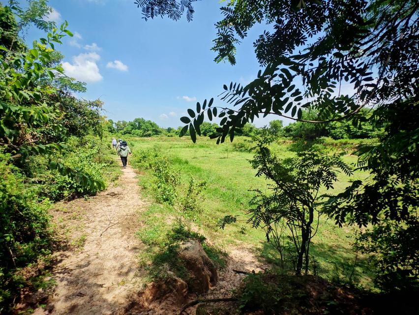 ขายที่ดินผืนงาม 22 ไร่เศษ ติดถนนใหญ่ โซนสีเหลือง อ.แปลงยาว ฉะเชิงเทรา (เขต EEC) – เหมาะแก่การลงทุน ท 9