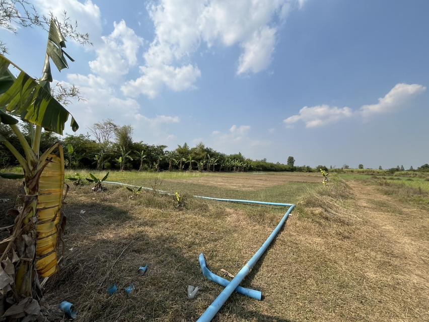 ขายที่ดิน 7 ไร่ ทุ่งบัวกำแพงแสน ติดถนนลาดยางแปลงสวยราคาถูกสุดในตลาด แถมบ้านฟรี 2