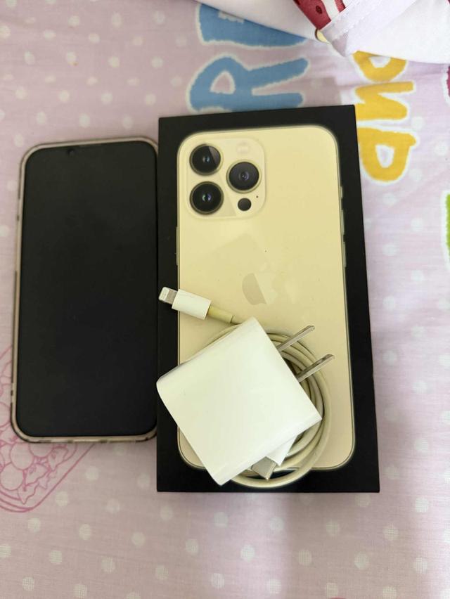 Iphone 13 Pro 256 GB