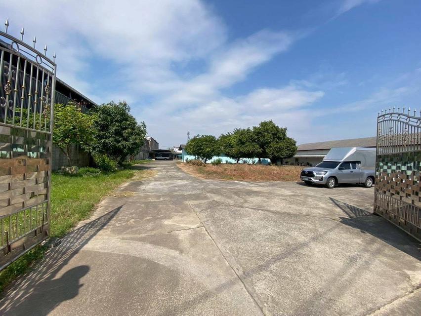 ขายที่ดินพร้อมโรงงาน ผังสีม่วง อ.กระทุ่มแบน 3