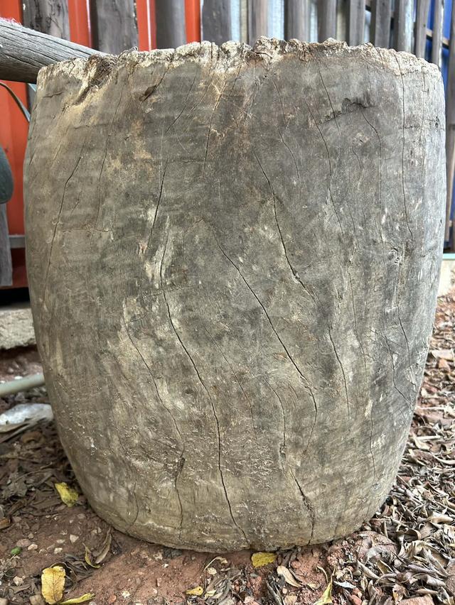 ครกไม้ตำข้าว ครกตำข้าวเปลือกสมัยโบราณ ครกตำข้าวโบราณ พร้อมสากไม้ รูปที่ 5