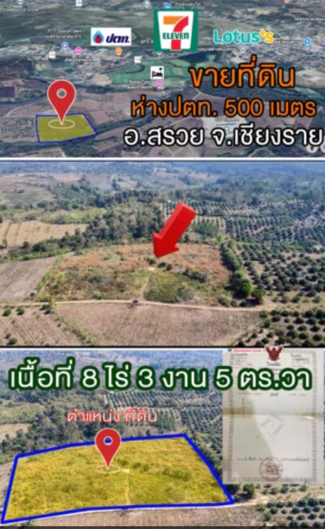 ขายที่ดิน อ.แม่สรวย จ.เชียงราย 8-3-5 ไร่ เพียง 2.5 ล้าน  2