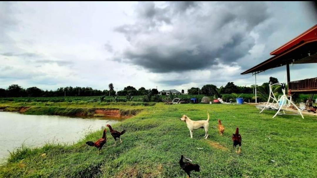 บ้านที่ดินรีสอร์ทร้านอาหารบ่อตกปลาห้องพัก​คาเฟ่​ 7