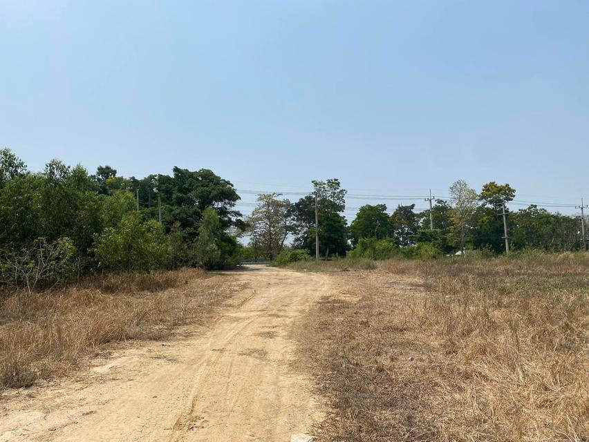 ที่ดิน 10 ไร่ ติดถนน 340 5